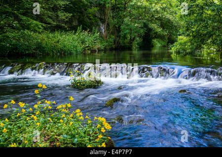 Rivière Dove, Dovedale dans le Peak District, UK Banque D'Images