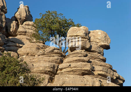 Le Parc Naturel Torcal de Antequera, Antequera, Malaga-province, région d'Andalousie, Espagne, Europe Banque D'Images