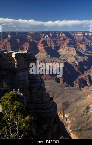 Grand Canyon vu de Mather Point, South Rim, le Parc National du Grand Canyon, Arizona, USA Banque D'Images