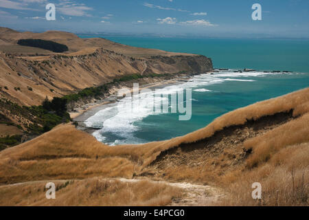 Plages de Cape Kidnappers Banque D'Images