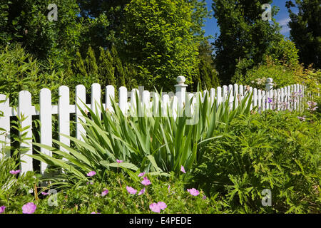 Clôture en bois blanc en face d'un lit de fleur dans un jardin paysager cour avant d'habitation, Québec, Canada Banque D'Images