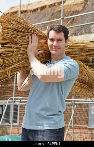 Transport des paquets de roseaux Thatcher travaillant sur le toit Banque D'Images