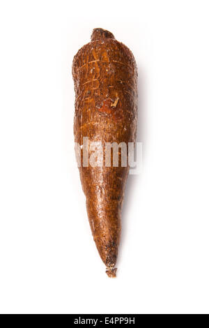 Le manioc ou les racines de manioc (Manihot esculenta) isolated on a white background studio. Banque D'Images