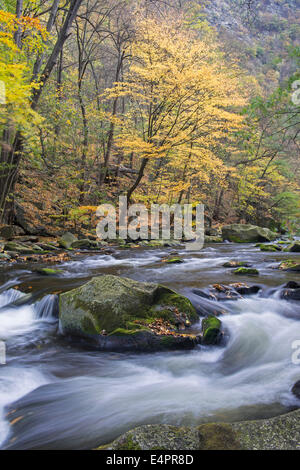 Vue de la vallée de Bode (bodetal), résine, résine, SAXE-ANHALT, Allemagne Banque D'Images