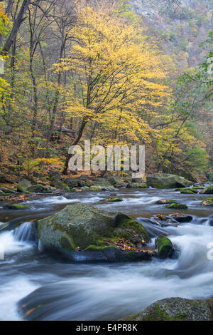 Vue de la vallée de Bode (bodetal), résine, résine, SAXE-ANHALT, Allemagne Banque D'Images