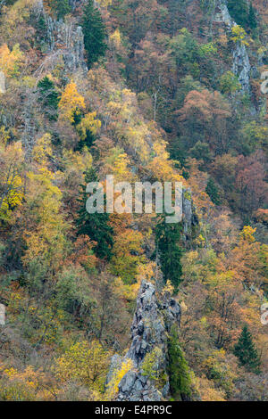 Vue depuis hexentanzplatz à vallée de Bode (bodetal), résine, résine, SAXE-ANHALT, Allemagne Banque D'Images