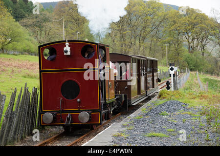 L'Corris narrow gauge steam railway, Snowdonia Powys Pays de Galles UK Banque D'Images