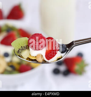 Le yogourt aux fruits avec des fraises, framboises, bananes, kiwis et les bleuets sur une cuillère pour le petit déjeuner Banque D'Images