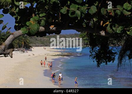 Les vacanciers à la plage de sable "Playa Esmeralda' près de Guardalavaca, Cuba, le 08 avril 2014. Photo : Peter Zimmermann - AUCUN SERVICE DE FIL- Banque D'Images