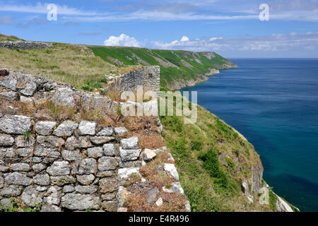 La côte de l'île de Lundy du château et la baie d'atterrissage à la recherche le long du côté est Banque D'Images