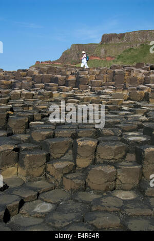 Femme marche sur le dessus de la Chaussée des Géants, en Irlande du Nord Banque D'Images