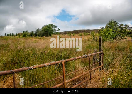 Rusty farm gate avec du fil de fer barbelé menant dans les champs Banque D'Images