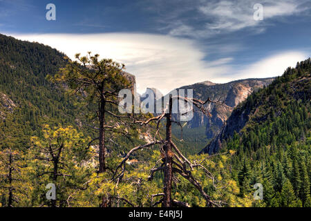 Yosemite National Park, Californie USA Banque D'Images