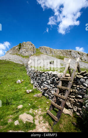 Robin surveillants cicatrice dans Crummack Dale Yorkshire Dales England Banque D'Images