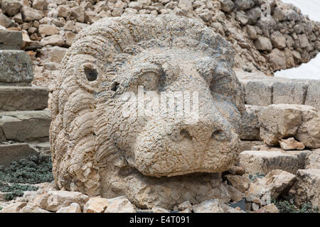 Tête de lion colossal, terrasse est, ou Nemrut Nemrud Dagh, Anatolie, Turquie Banque D'Images