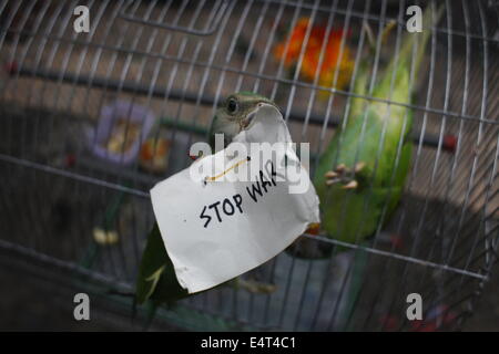 Dhaka, Bangladesh. 16 juillet, 2014. Un perroquet est titulaire d'un placard pendant une manifestation d'étudiants de l'Université de Dacca contre l'attaque israélienne sur Gaza à Dhaka, Bangladesh Crédit : zakir Hossain Chowdhury zakir/Alamy Live News Banque D'Images