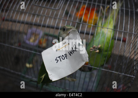 Dhaka, Bangladesh. 16 juillet, 2014. Un perroquet est titulaire d'un placard pendant une manifestation d'étudiants de l'Université de Dacca contre l'attaque israélienne sur Gaza à Dhaka, Bangladesh Crédit : Zakir Hossain Chowdhury/ZUMA/Alamy Fil Live News Banque D'Images