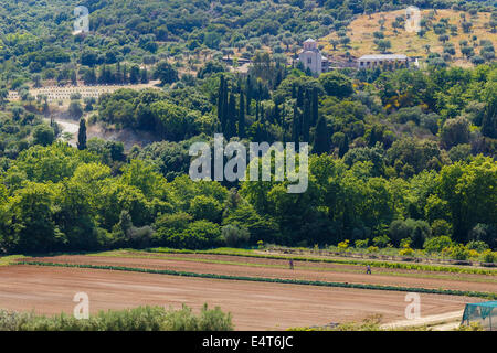 Domaine plantation près de monastère de Saint Mont Athos Banque D'Images