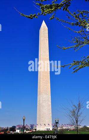 Washington, DC : Le planeur 555 1/2 pied grand Washington Monument, terminé en 1885, domine le National Mall * Banque D'Images