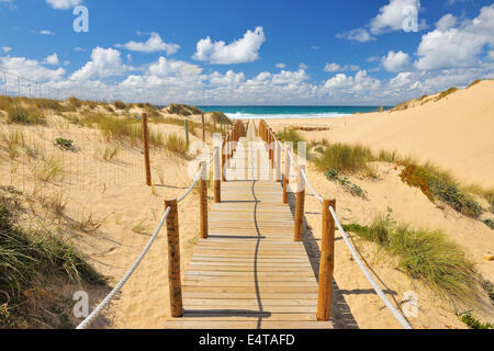 Passerelle en bois à travers les dunes de sable menant à la plage, Cascais, Lisboa, Portugal Banque D'Images