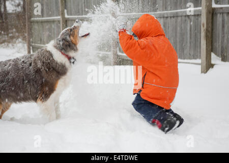 Boy having Snowball Fight avec son chien berger australien, Maryland, USA Banque D'Images