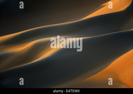 Close-up de dunes de sable au coucher du soleil, Matruh, Grande Mer de Sable, Désert de Libye, désert du Sahara, l'Egypte, l'Afrique du Nord, Afrique Banque D'Images