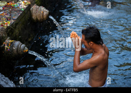 Bali, Indonésie. Jeune homme priant à un ressort, Tirta Empul sacré pour les Hindous balinais. Banque D'Images