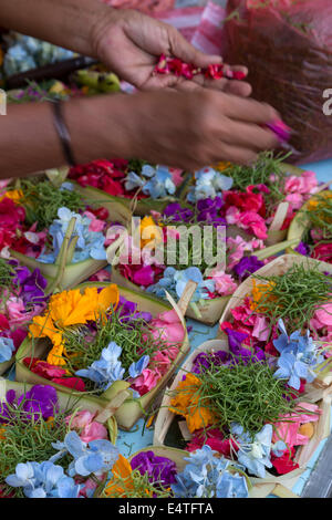 Bali, Indonésie. L'épargne (canang) faite par un spécialiste de l'épargne (banten tukang) à vendre. Banque D'Images