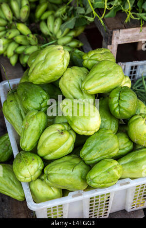 Jimbaran, Bali, Indonésie. Fruits chayote, appelé Siam Labu en Indonésie, pousse dans de nombreux pays tropicaux. Banque D'Images