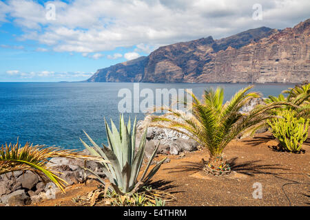 Los Gigantes. Tenerife, Espagne Banque D'Images