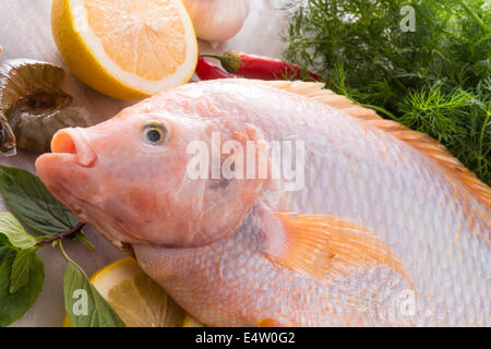 Fraîcheur rougit le poisson tilapia du Nil (Oreochromis niloticus) Banque D'Images