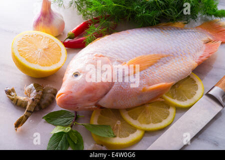 Fraîcheur rougit le poisson tilapia du Nil (Oreochromis niloticus) Banque D'Images