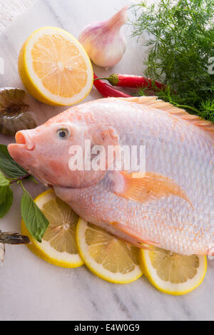 Fraîcheur rougit le poisson tilapia du Nil (Oreochromis niloticus) Banque D'Images