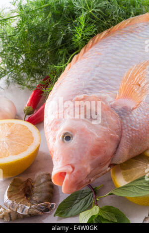 Fraîcheur rougit le poisson tilapia du Nil (Oreochromis niloticus) Banque D'Images
