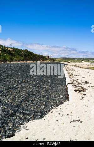 Orcades dh de l'érosion côtière défense mer UK UK érodé de défense du littoral plage mur gabions de défense de la côte de l'écosse Banque D'Images