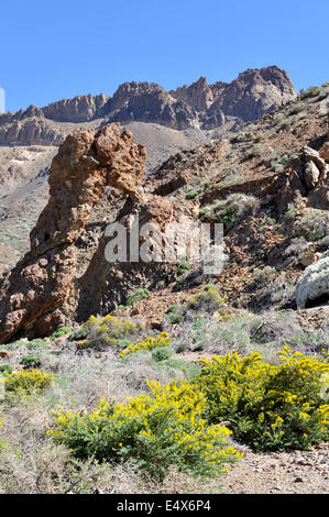 Parc National de Teide rock formation savoir comme Zapatilla de la Reina avec caldera rim en distance, Tenerife Banque D'Images