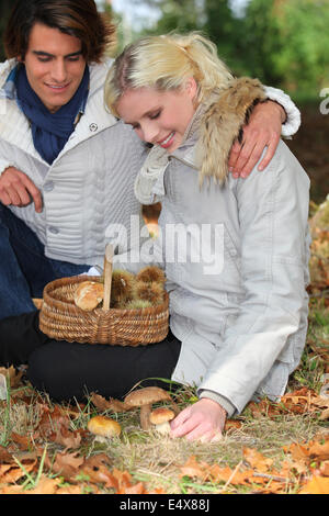 Couple cueillette de champignons Banque D'Images