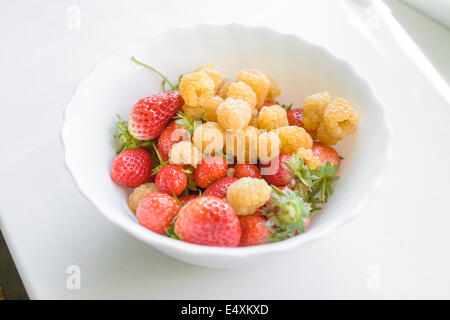 Un assortiment de fruits rouges dans un bol sur fond blanc Banque D'Images