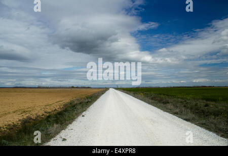 Une grande promenade de Saint James, Jakobsweg, Camino de Santiago, Espagne, España, Spanien Banque D'Images