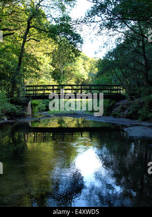 Passerelle sur rivière dans les bois à Boscastle, Cornwall, UK Banque D'Images