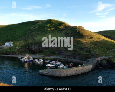 Boscastle Harbour en début de soirée la lumière, Cornwall, UK Banque D'Images