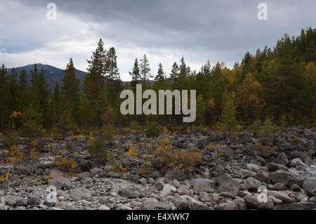 Forêt d'automne, rivière avec des rochers. Banque D'Images