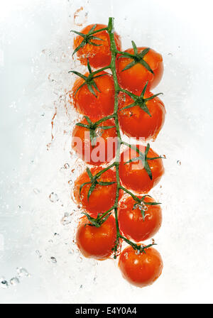 Branche de tomates dans les projections d'eau Banque D'Images