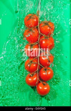 Branche de tomates dans les projections d'eau Banque D'Images