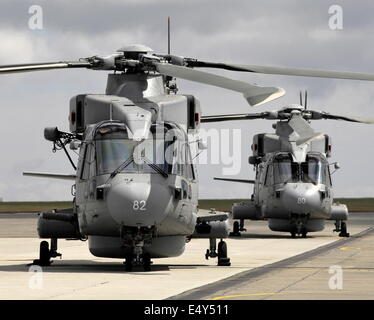 AJAXNETPHOTO. 23 JUILLET 2013. ARNS CULDROSE, ANGLETERRE. - HÉLICOPTÈRES MERLIN MK II AW 101 NOUVELLEMENT CONVERTIS DE LA ROYAL NAVY DU 824E ESCADRON SUR L'AIRE DE TRAFIC. PHOTO : JONATHAN EASTLAND/AJAX REF ; D132307 3237 1 Banque D'Images