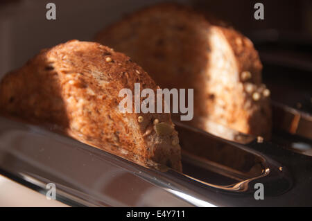 Toast popping up dans un grille-pain pour le petit déjeuner du matin Banque D'Images
