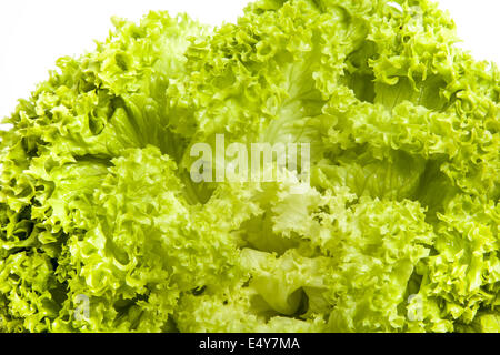 Feuilles de laitue salade verte fraîche Banque D'Images