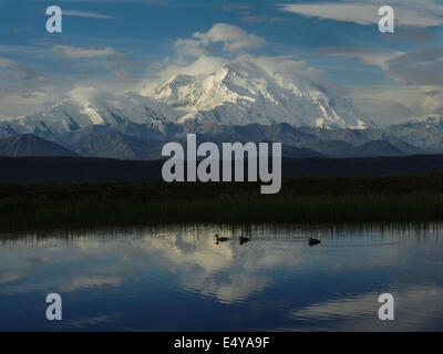 Les 20 320 pieds de sommet du Mont McKinley et la chaîne de l'Alaska représentent dans un trou électrique étang, un terrain fertile pour les wate Banque D'Images