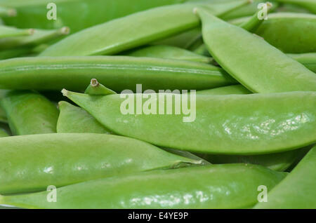 Succulentes vert pois sugar snap pour le dîner. Banque D'Images