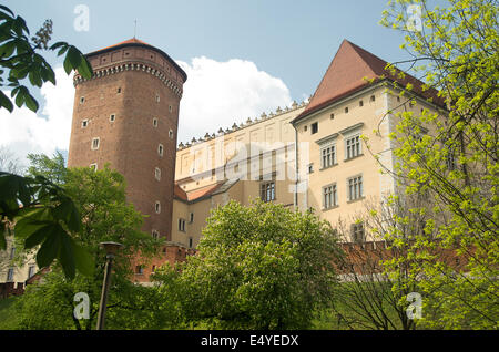 Château de Wawel à Cracovie lors d'une journée ensoleillée. Banque D'Images